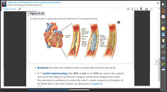 Medical Terminology Course Screenshot